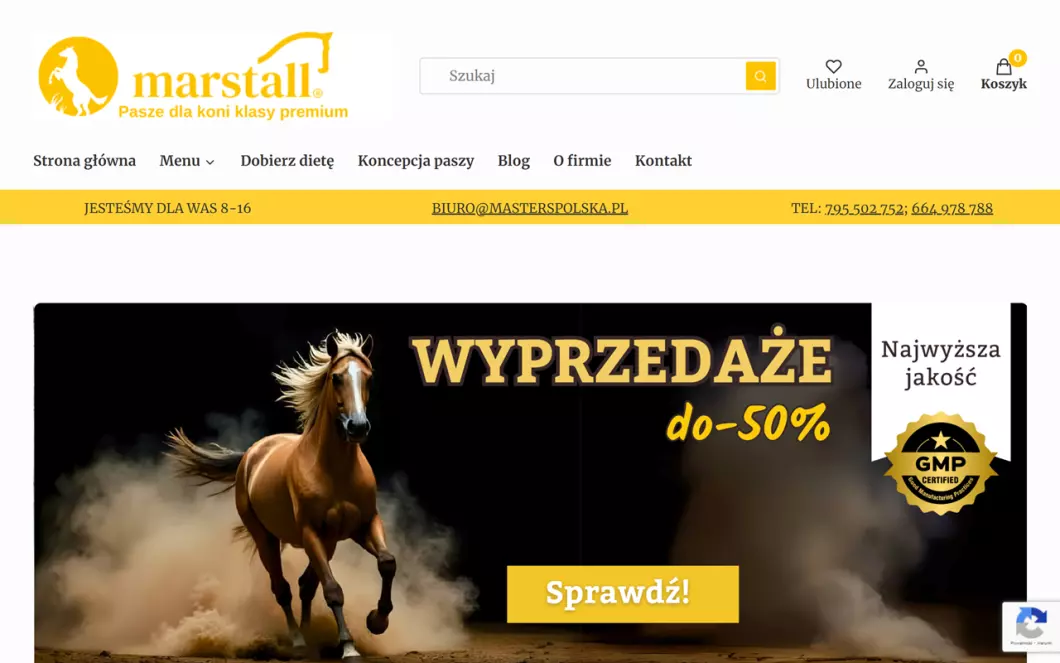 Zrzut ekranu strony Gabinet Sztuki